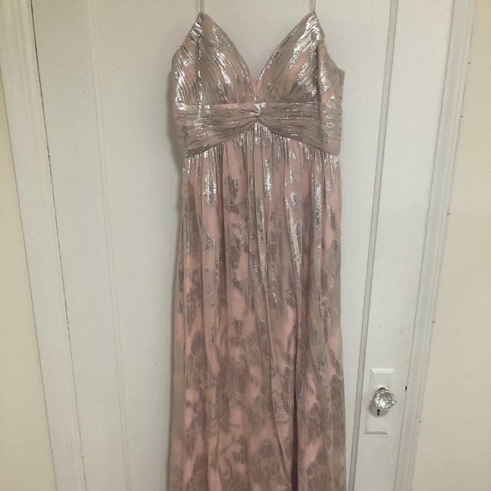 Beautiful pink and silver princess dress